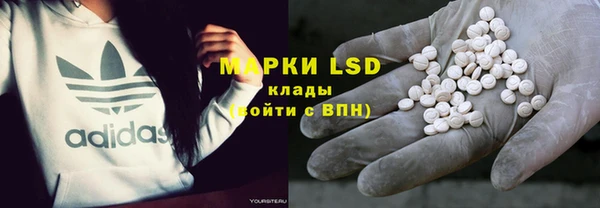ПСИЛОЦИБИНОВЫЕ ГРИБЫ Алзамай